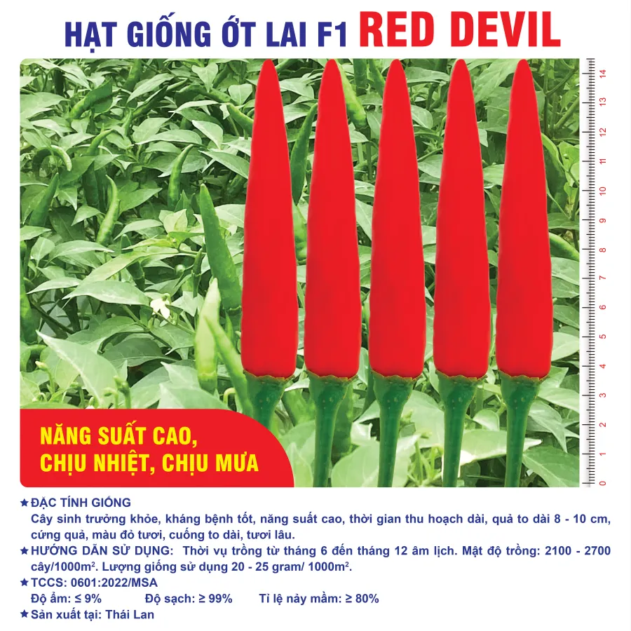 Hạt giống Ớt chỉ thiên F1 Red Devil