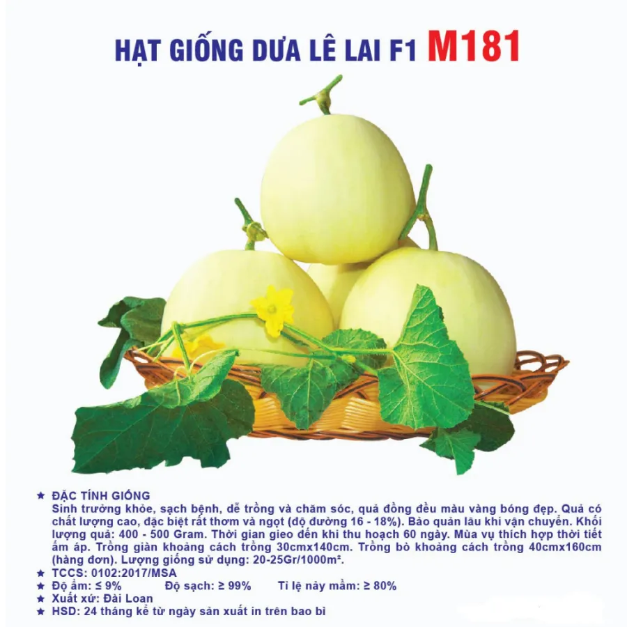 Hạt giống Dưa lê lai F1 M181