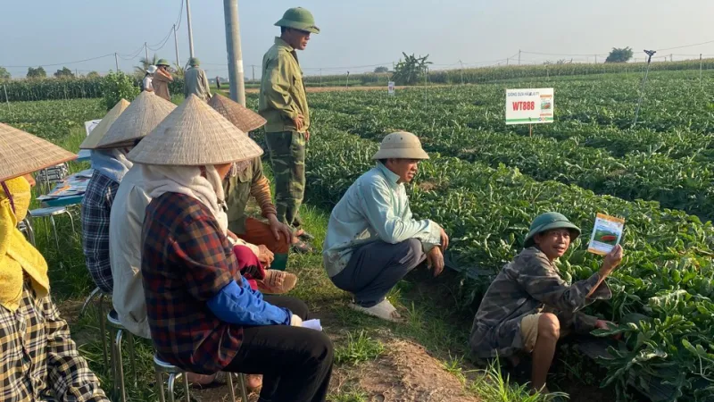 Hội thảo dưa hấu tại Nam Sách, Hải Dương