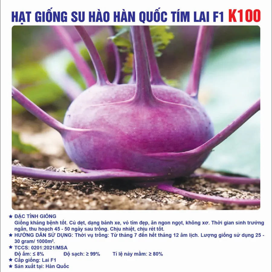 Hạt giống Su hào tím Lai F1 K100