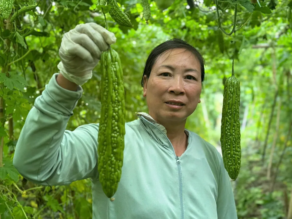 MANG ĐẶC TÍNH NHÀ NÔNG CẦN
